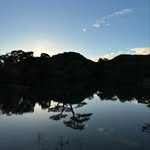 Ethan Cheong - @rexy04 - Instagram