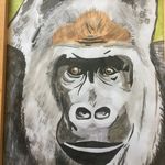 ethan clements - @ejgtaboy121107 - Instagram