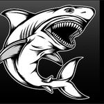 Ethan coats - @sharklover556 - Instagram