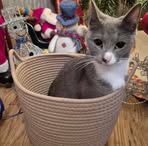 Ethan Cody - Facebook