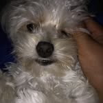Ethan Cody Dumas - @ethan_dog14 - Instagram
