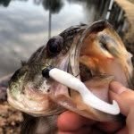 Ethan Corbin - @catch_an_release - Instagram