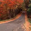 Ethan Cornelius - @ethan_c2745 - TikTok