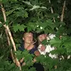 ethancornelius43 - @ethancornelius43 - TikTok