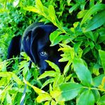 Ethan Cornell - @ethancornell15 - Instagram