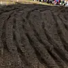 Ethan Cornell - @ethancornell1 - TikTok
