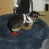 ethancornell9 - @ethancornell9 - TikTok