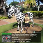 Ethan Cortez - Facebook