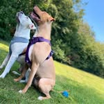 Ethan Coulson - @coulson5674 - Instagram