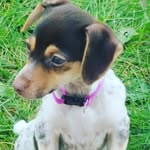Ethan Covey - @ecovey06 - Instagram