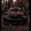 ethancovey228 - @ethancovey228 - TikTok