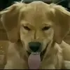 Ethan Crabtree - @ethan.crabtree6 - TikTok