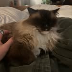 Ethan Crowe - @ethanwasadiver - Instagram