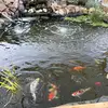 ethan_crowe - @ethan_crowe - TikTok