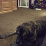 Ethan Delaney - @ethan.delaney.902 - Instagram