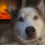 Ethan Deutsch - @ethandeutsch21 - Instagram