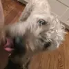 Ethan Deutsch - @ethandeutsch6 - TikTok