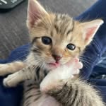 Ethan - @ethandeutsch09 - Instagram