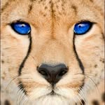 ethan dever - @dever_ethan - Instagram