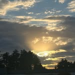 Ethan Devereux - @ethandevereux - Instagram