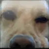 ethandodd_ - @ethandodd_1 - TikTok