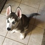 Ethan Dodson - @ethan_dodson3954 - Instagram