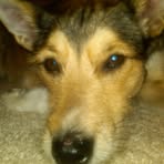 Ethan Domke - Facebook