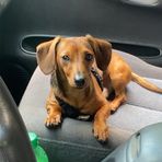 Ethan Dotson - Facebook