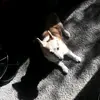 Ethan Dotson - @ethan.dotson3 - TikTok
