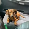 Ethan - @ethan.dotson - TikTok