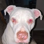 Ethan Doughty - @doughty.71 - Instagram