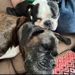 Ethan Downs - @billboy2011 - Instagram