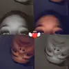 ethanduffy055 - @ethanduffy055 - TikTok