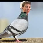 Ethan Earl - @ethan.earl.03 - Instagram