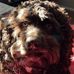 Ethan Eason - Facebook