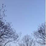 @ethan_eason_fan - Instagram