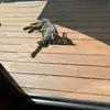 Ethan Hebert - @ethanhebert29 - TikTok