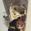 Ethan Edens - @ethan_edens - TikTok