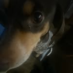 Ethan Edmonds - @biggestb0z0123 - Instagram