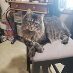 Ethan Eldred - @triplee7723 - Instagram