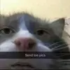 Ethan Ely - @_officialmemes22_ - TikTok