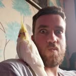 Ethan Enright - @little_pilot - Instagram