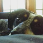 Ethan Epstein - @e_epstein_1 - Instagram
