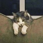 Ethan Epstein - @epstein_e32 - Instagram