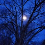 Ethan Erwin - Facebook