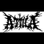 ethan estep - @ethanestep8 - Instagram
