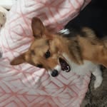 Ethan Estep - @thatbroethan - Instagram