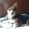 ethan.estep47_69 - @ethan.estep47_69 - TikTok