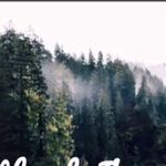 Ethan Everett - @ethaneverett - Instagram