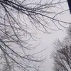 ethanewing75 - @ethanewing75 - TikTok